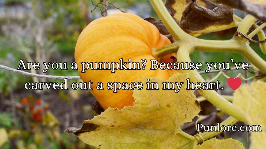 Pumpkin Pick Up Lines
