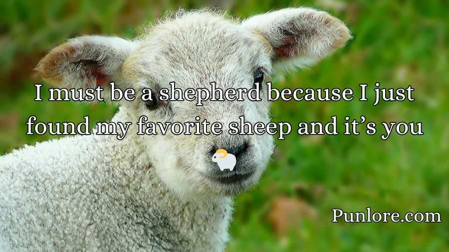Sheep Pickup Lines