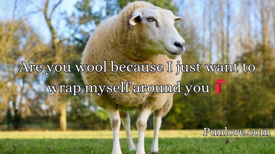Sheep Pickup Lines