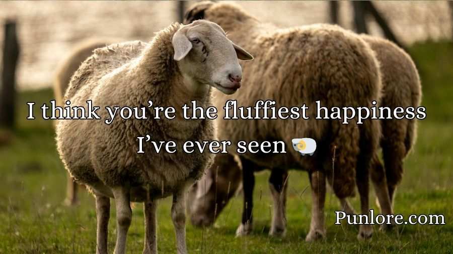 Sheep Pickup Lines