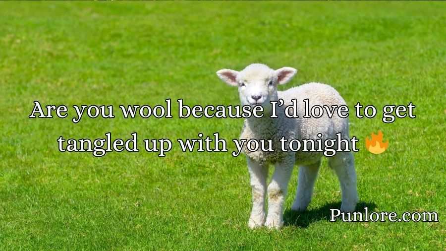Sheep Pickup Lines
