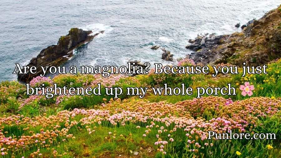 Southern Pick Up Lines