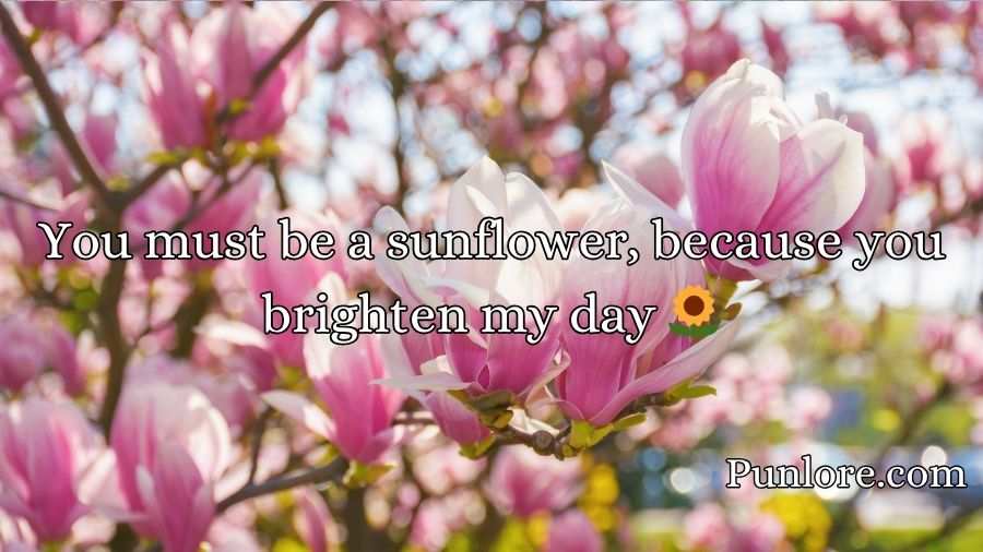 Southern Pick Up Lines