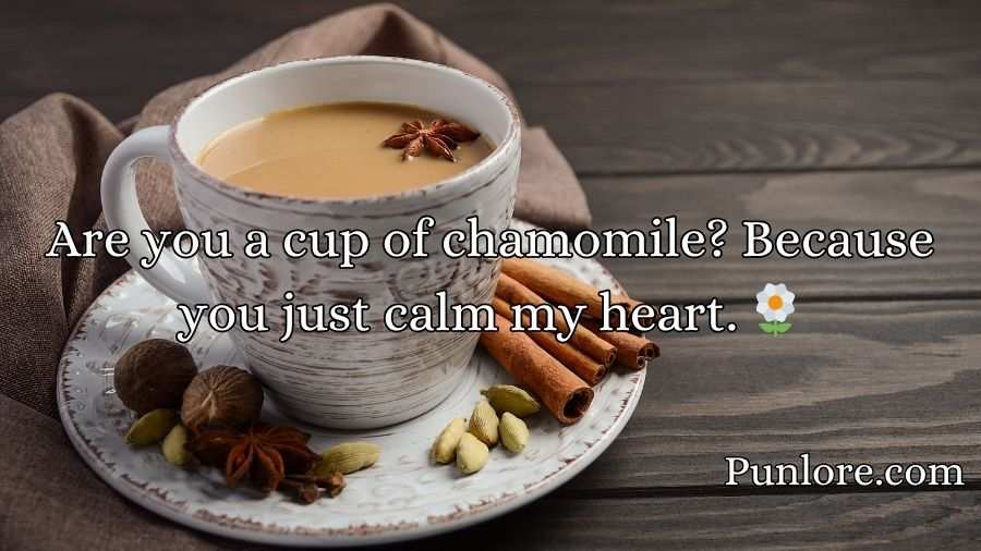 Tea Pick Up Lines