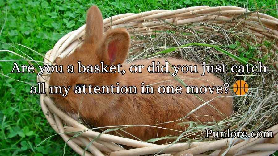 Basket Pick Up Lines