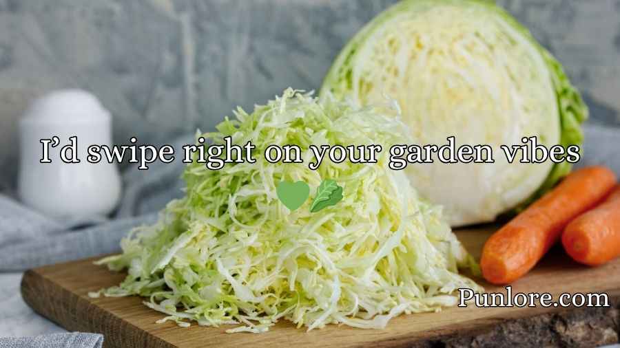 Cabbage Pick Up Lines