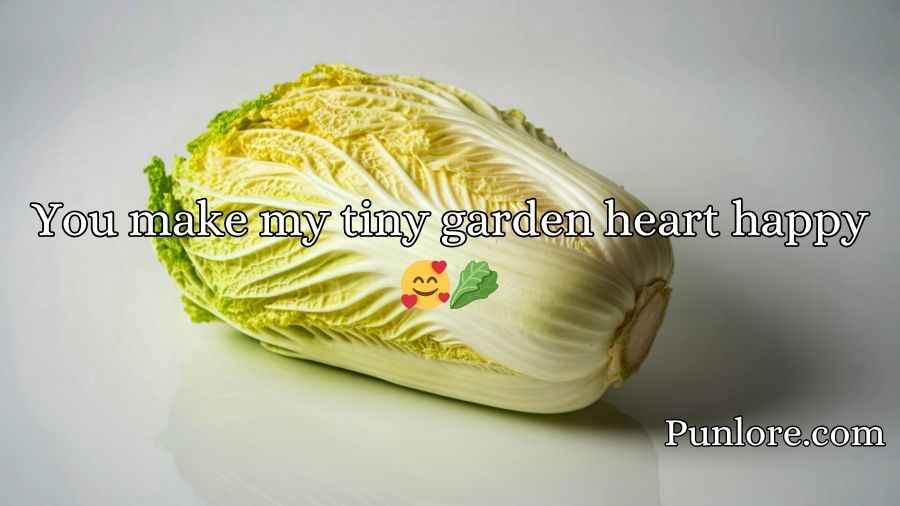Cabbage Pick Up Lines