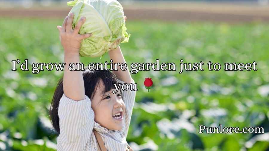 Cabbage Pick Up Lines