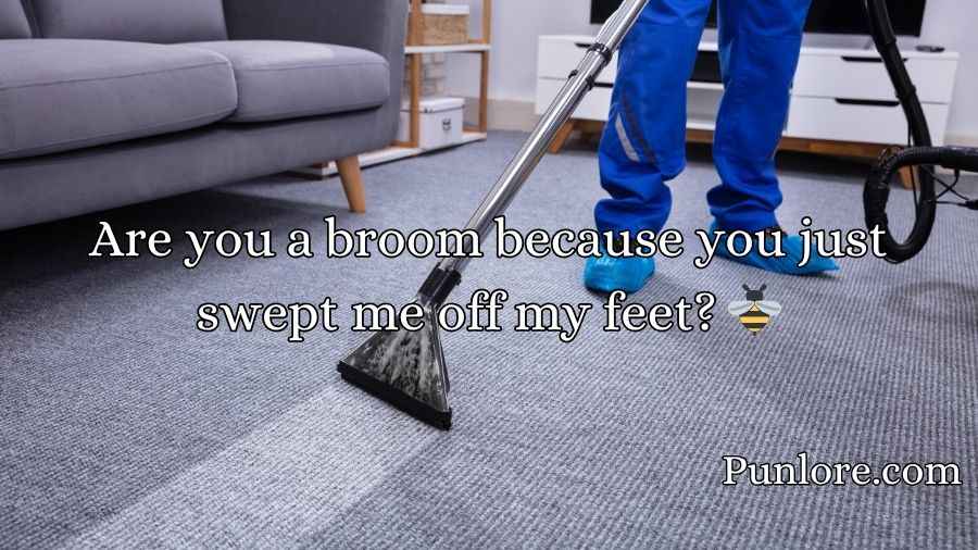Cleaning Pick Up Lines