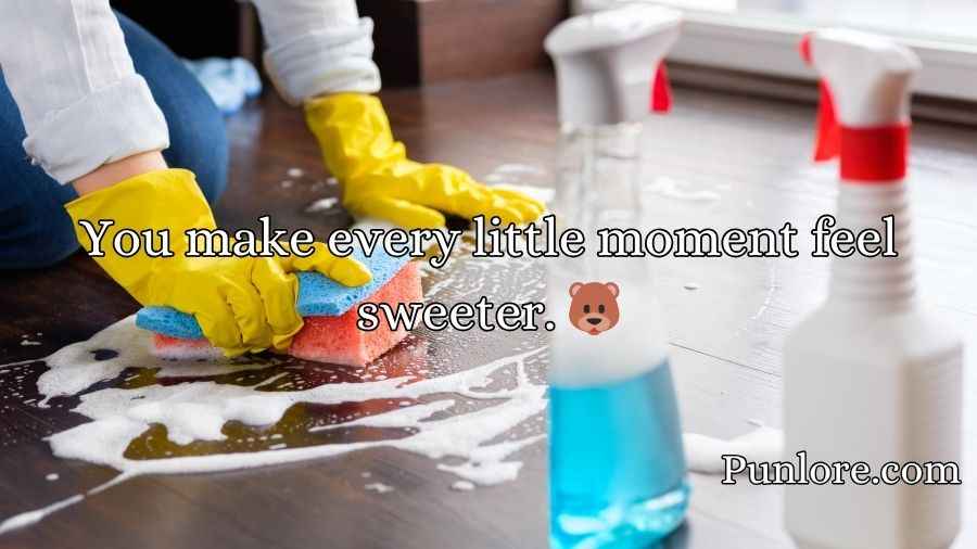 Cleaning Pick Up Lines
