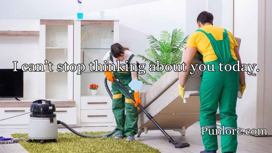 Cleaning Pick Up Lines