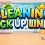 Cleaning Pick Up Lines