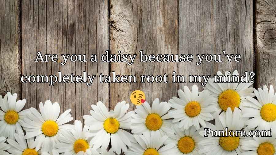 Daisy Pick Up Lines