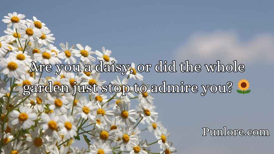 Daisy Pick Up Lines