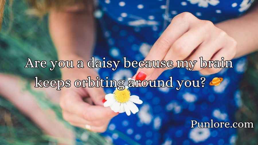 Daisy Pick Up Lines