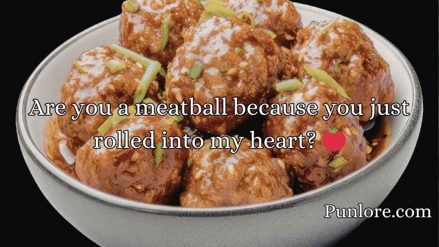 Meatball Pick Up Lines