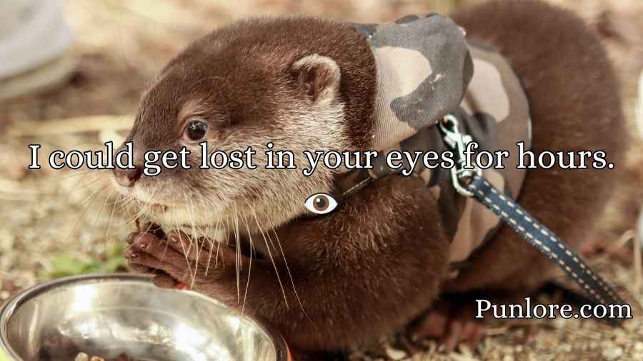 Otter Pick Up Lines