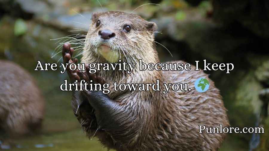 Otter Pick Up Lines