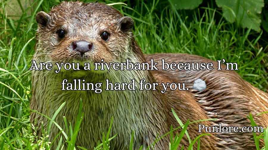 Otter Pick Up Lines