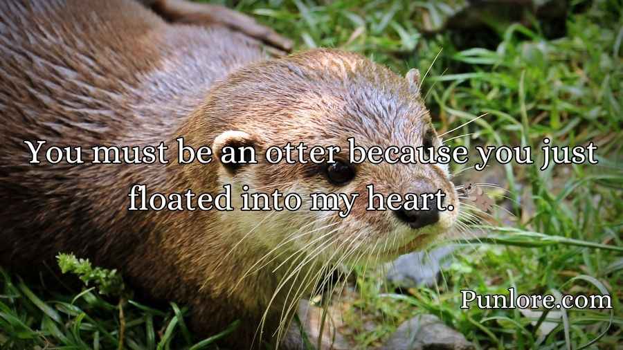 Otter Pick Up Lines