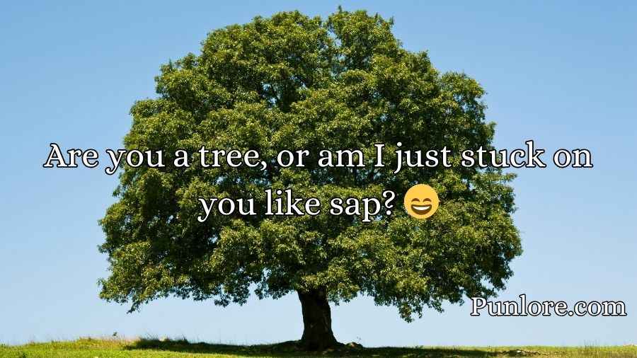 Tree Pickup Lines