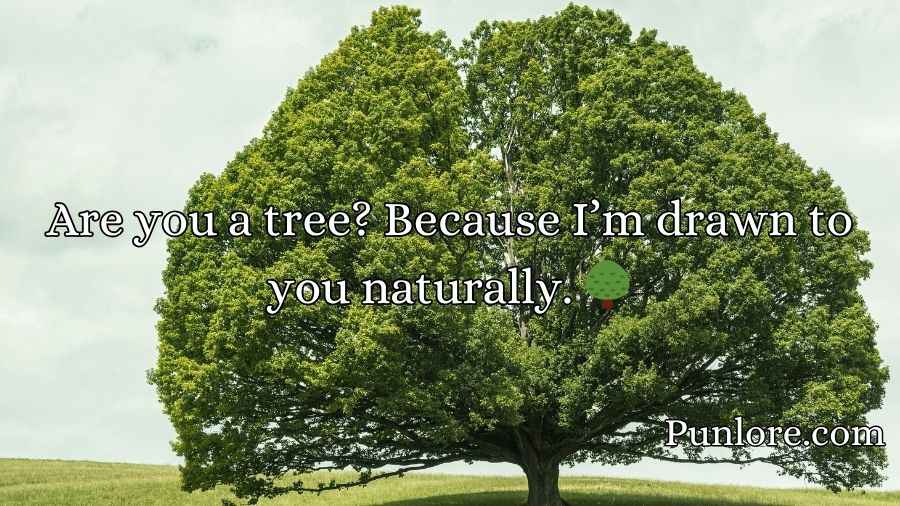 Tree Pickup Lines