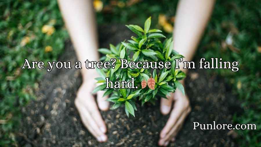 Tree Pickup Lines