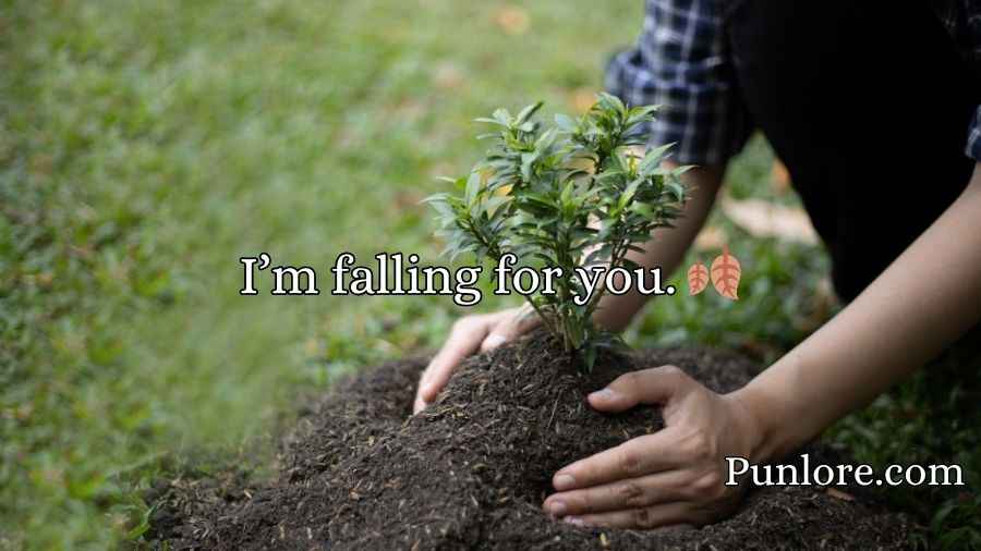 Tree Pickup Lines
