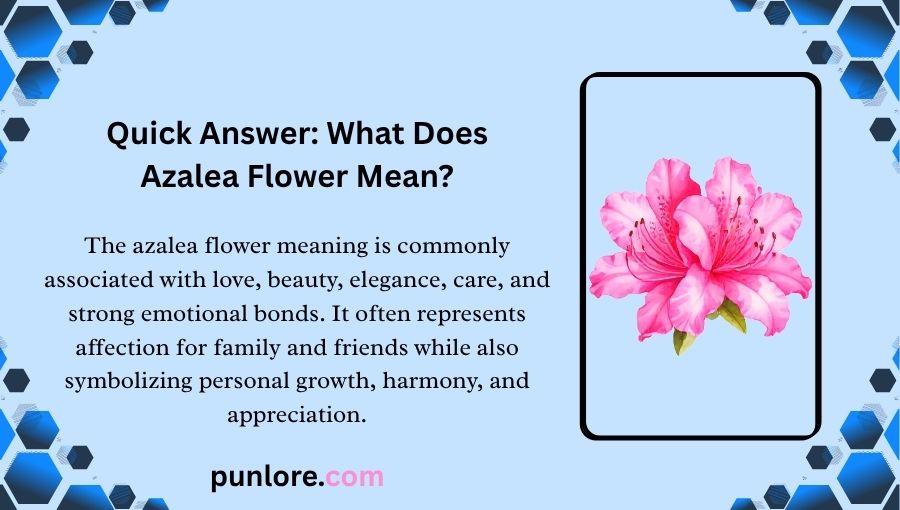 Azalea Flower Meaning