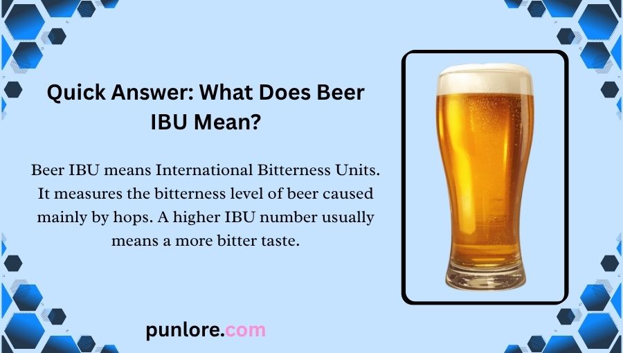 Beer IBU Meaning