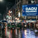 Dadu Meaning
