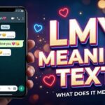 LMY Meaning Text