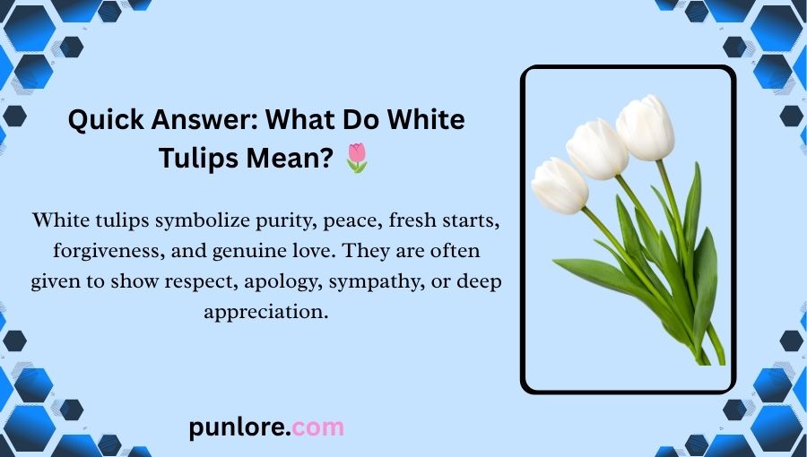 White Tulips Meaning