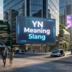 YN Meaning Slang
