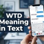 WTD Meaning in Text