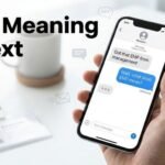 EMP Meaning In Text